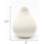 Chive ‘Frost’ Small Ceramic Vase — Decorative Vases for Flowers & House Plants — Cute Beautiful Home Decor — Set of 6 — White