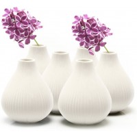 Chive ‘Frost’ Small Ceramic Vase — Decorative Vases for Flowers & House Plants — Cute Beautiful Home Decor — Set of 6 — White