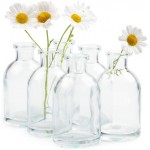 Chive ‘Loft’ Clear Glass Bottle Flower Vase — Beautiful Small Bud Vases for Flowers & House Plants — Perfect as Rustic Wedding Centerpieces or Home Decor — Tall Clear Bottle Set of 10