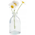 Chive ‘Loft’ Clear Glass Bottle Flower Vase — Beautiful Small Bud Vases for Flowers & House Plants — Perfect as Rustic Wedding Centerpieces or Home Decor — Tall Clear Bottle Set of 10