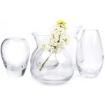 Chive Set 6 George Shape 3 3 Inch Wide 3 Inch Tall Unique Clear Glass Flower Vase Small Elegant Oval Bud Vase Decorative Floral Vase
