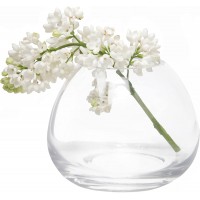 Chive Set 6 George Shape 3 3 Inch Wide 3 Inch Tall Unique Clear Glass Flower Vase Small Elegant Oval Bud Vase Decorative Floral Vase