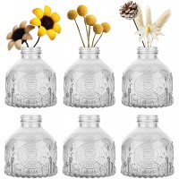 KTMAMA Small Glass Bud Vases Set of 6 Mini Vintage Bottles Clear Rustic Decorative Floral Vases for Centerpiece Home Living Room Office Decoration or Wedding Event Clear