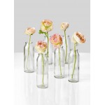 Serene Spaces Living Clear Glass Bud Vases Set of 6 Ideal for Tablescape at Weddings Events Measures 6.25” Tall and 2” Diameter
