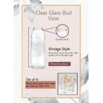 Serene Spaces Living Clear Glass Bud Vases Set of 6 Ideal for Tablescape at Weddings Events Measures 6.25” Tall and 2” Diameter