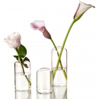 ZENS Bud Vases Glass Set Clear Small Serene Spaces Living Vase Set of 3 for Centerpieces Home Decor Modern Hand Blown Borosilicate Flowers Vases for Office or Wedding Events