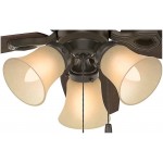 Hunter Builder Indoor Low Profile Ceiling Fan with LED Light and Pull Chain Control 42" New Bronze