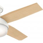 Hunter Dempsey Indoor Low Profile Ceiling Fan with LED Light and Remote Control