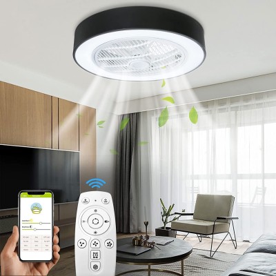 TC-HOMENY Ceiling Fan with LED light Invisible Blades 22 inches Morden Black Lighting Color Changing Low Profile Ceiling Fan
