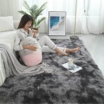 Fuzzy Abstract Area Rugs for Bedroom Living Room Fluffy Shag Fur Rug for Kids Nursery Dorm Room Cozy Furry Rugs Plush Throw Rug Shaggy Decorative Accent Rug for Indoor Home Floor Carpet