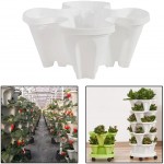 3 5Tier -Stand Stacking Planters Strawberry Planting Pots with Drainage Holes Creative,Used for Strawberries Herbs Peppers Flowers and Succulents White,5 Tier