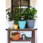 6" Caribbean Planter in Dusty Teal