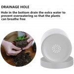 7 Inch White Planter for Plants with Drainage Hole and Seamless Saucers