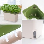 Amazing Creation Window Herb Planter Box Rectangular Self Watering Indoor Garden for Kitchens Grow Plants Flowers or Succulents Large Water Reservoir 3 Pack