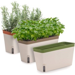 Amazing Creation Window Herb Planter Box Rectangular Self Watering Indoor Garden for Kitchens Grow Plants Flowers or Succulents Large Water Reservoir 3 Pack