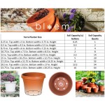 Bloem Terra Pot Planter TR0683 Pebble Stone 6" 6"