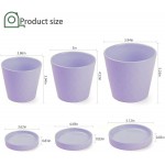 BUYMAX Succulent Planter –4”+5”+6” Ceramic Flower Pot with Drainage Hole and Ceramic Tray Gardening Home Desktop Office Windowsill Decoration Gift- Set 3 Plants NOT Included  Purple