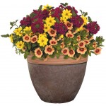Classic Home and Garden 3 806WC 1 Premiere Collection Planter Abigail 15" Weathered Copper