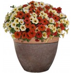 Classic Home and Garden 3 806WC 1 Premiere Collection Planter Abigail 15" Weathered Copper