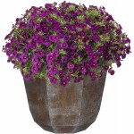 Classic Home and Garden 8005-377R Premiere Collection Planter Shaina 15" Weathered Copper