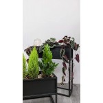 Cocoyard Modern Elevated Metal Planter Box. Rectangular Planter Great Gift for Plant Lover Birthday and Any Holidays Short 14