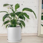 FloraSea 12 Inches White Ceramic Planter Pot with Saucer and Drainage Hole,Outdoor Indoor Cylinder Round Planter Pots 12 Inches