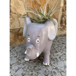 GFF Grass Flip Flops Animal Planter Succulent Pot Cute Elephant Pot for Succulents Cactus and Other Small Plants Resin Composite for IndoorOutdoor with Drainage Hole and Plug