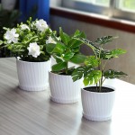 Gudatost 6 Pack Plastic Plant Pots 7 6.5 6 5.5 4.5 3.5 Inch Indoor Decorative Planter with Multiple Drainage Holes and Saucer for All Home Plants Flowers Succulents White