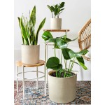 LE TAUCI Ceramic Plant Pots 10+8+6 inch Large Planters for Indoor Plants Mid Century Modern Indoor Planter Pots with Drainage Holes and Plug Set of 3 Reactive Glaze Beige