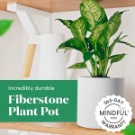 MINDFUL POTS 10-inch Indoor Planters Indoor Plant Pots with Drainage Plug Chip-Resistant Fiberstone Plant Pot Matte White 10"