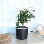 Pageqiu Plant Pots 12 inch Ceramic Flower Pot Indoor Modern Black Planters with Drainage Hole Home Office Decor