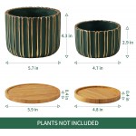 POTEY 057403 Cement Planter Pots 5.7 + 4.7 Inch Indoor Concrete Planters Bonsai Containers with Drainage Hole & Bamboo Saucer for Plants Succulent Cactus Flowers Set of 2 Plants NOT Included