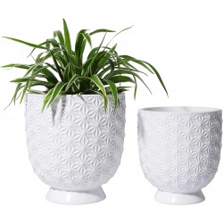 POTEY White Ceramic Planter Pots 5 + 4.3 inch Indoor Planter with Drainage Hole Relief Ice Crack Pattern Decorative Plant Pots for Plants POTEY 058001 Set of 2