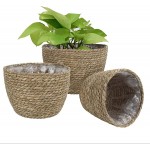 SANGDA Seagrass Basket Planters Flower Pots Cover Storage Basket Plant Containers Hand Woven Basket Planter with Plastic Liners Straw Flower Pot for Indoor Outdoor Plant Flower Pots