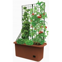 Self Watering Vegetable Planter Box with Trellis on Wheels Mobile Garden