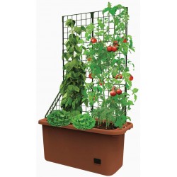 Self Watering Vegetable Planter Box with Trellis on Wheels Mobile Garden