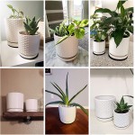 Set of 2 Modern Matte White Honeycomb Embossed Ceramic Planter Pot with Saucer and Drainage Hole 4 Inch & 6 Inch 99-91-BE
