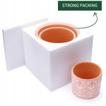 Terracotta Pots for Plants 6.1  5.3  4.2 Inch Succulent Plant Pot Modern Indoor Planter with Drainage Hole POTEY 500103 Set of 3