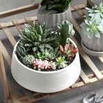 ZONESUM Large Succulent Planter 8.5 Inches Plant Pots with Drainage Hole Ceramic Flower Planter Pot for Cactus Orchid Snake Plants Small Christmas Tree Christmas Decorations or Gifts