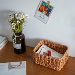 GRANNY SAYS Wicker Baskets for Organizing Nesting Decorative Woven Basket Set Storage Baskets with Handles Caramel Orange 3-Pack