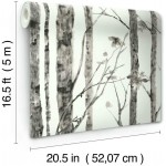 RoomMates RMK11728WP Birch Trees Gray Peel and Stick Wallpaper