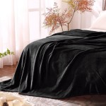 BEDELITE Fleece Blankets Black Throw Blankets for Couch & Bed Plush Cozy Fuzzy Blanket 50" x 60" Super Soft & Warm Lightweight Throw Blankets for Winter