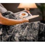 Chanasya Super Soft Fuzzy Faux Fur Throw Blankets Fluffy Plush Lightweight Cozy Snuggly with Sherpa for Couch Sofa Living Room Bedroom Grey Fall & Winter Home Decor 50x65 Inches Gray Blanket