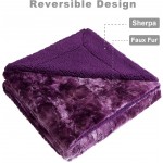 Hansleep Faux Fur Blanket with Reversible Sherpa Super Soft Fuzzy Throw Blanket for Sofa Couch Bed Light Weight Warm Blanket All Season Use Aubergine Queen 90x90