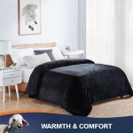 Walensee Fleece Blanket Plush Throw Fuzzy Lightweight Throw Size 50x60 Black Super Soft Microfiber Flannel Blankets for Couch Bed Sofa Ultra Luxurious Warm and Cozy for All Seasons