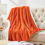 Walensee Sherpa Fleece Blanket Throw Size 50”x60” Orange Plush Throw Fuzzy Super Soft Reversible Microfiber Flannel Blankets for Couch Bed Sofa Ultra Luxurious Warm and Cozy for All Seasons