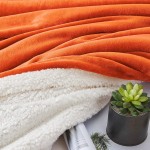 Walensee Sherpa Fleece Blanket Throw Size 50”x60” Orange Plush Throw Fuzzy Super Soft Reversible Microfiber Flannel Blankets for Couch Bed Sofa Ultra Luxurious Warm and Cozy for All Seasons