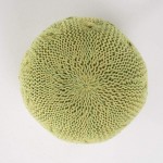 Christopher Knight Home Deon Indoor Outdoor Fabric Weave Pouf Lime