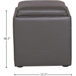 Brand – Rivet Ross Modern Vegan Faux Leather Lift-Top Storage Ottoman Pouf 17.7"W Grey