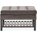 Christopher Knight Home Miriam Ottoman with Storage and Bottom Rack Brown